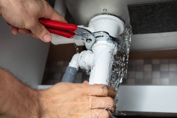 Best Local water damage restoration  in Charles City, IA