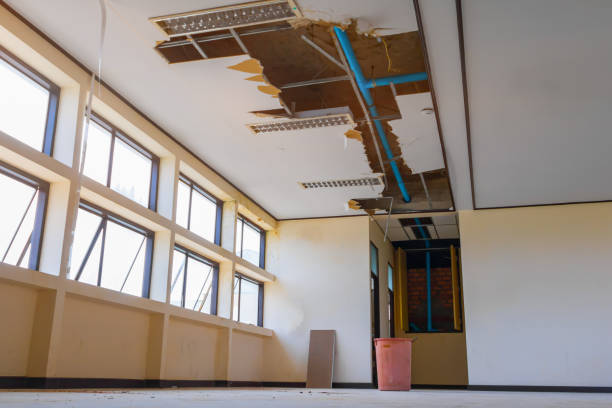 Best Water damage restoration near me  in Charles City, IA