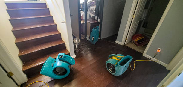 Best Mold removal after water damage  in Charles City, IA