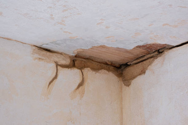 Reliable Charles City, IA Water damage restoration Solutions