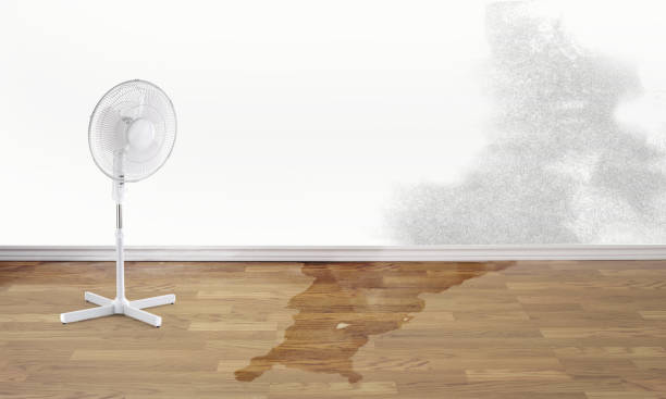 Best 24-hour water damage restoration  in Charles City, IA