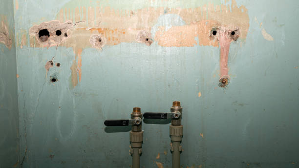 Best Fire Damage Restoration  in Charles City, IA