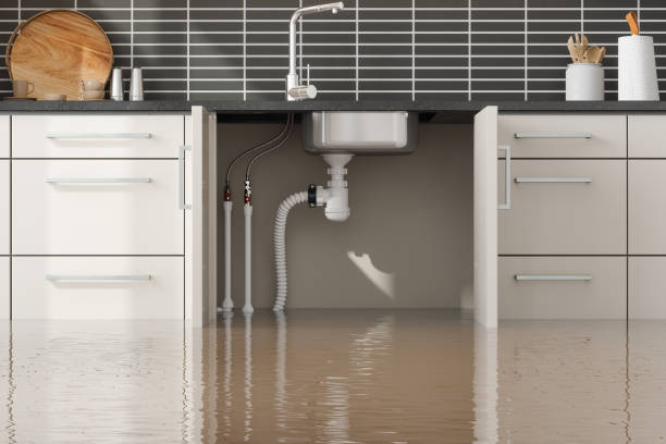 Best Basement water damage restoration  in Charles City, IA