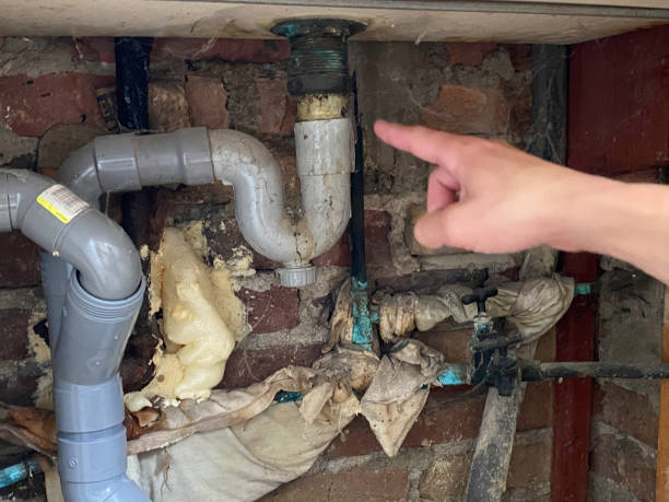 Best Commercial water damage restoration  in Charles City, IA