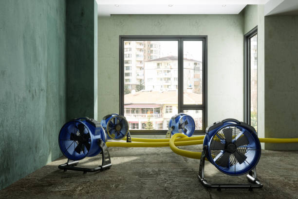 Best Water damage restoration services  in Charles City, IA