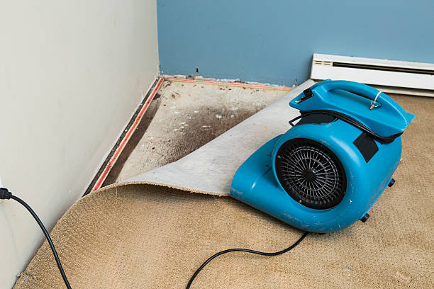Best Flood restoration services  in Charles City, IA